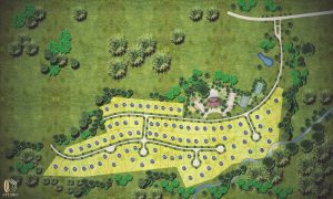769-01-Community-Neighborhood
